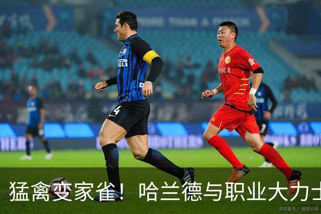 猛禽变家雀！哈兰德与职业大力士合影，身板几乎仅是对方一半